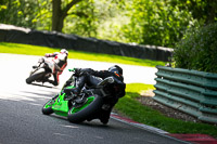 cadwell-no-limits-trackday;cadwell-park;cadwell-park-photographs;cadwell-trackday-photographs;enduro-digital-images;event-digital-images;eventdigitalimages;no-limits-trackdays;peter-wileman-photography;racing-digital-images;trackday-digital-images;trackday-photos